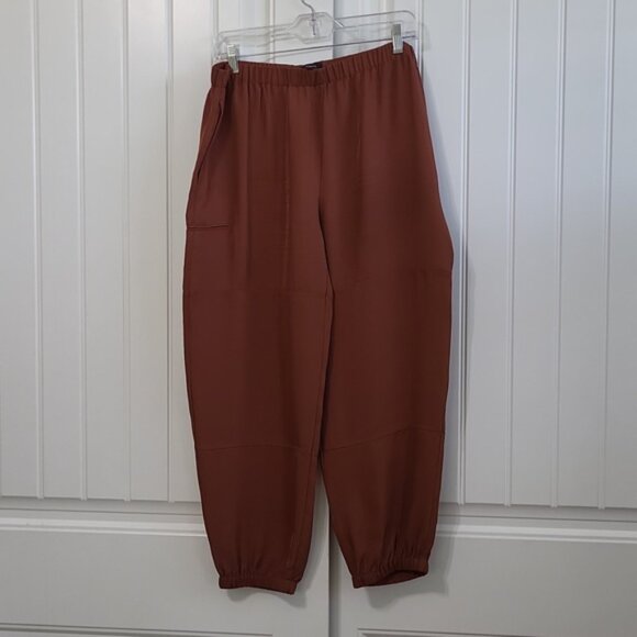 Theory Red Clay Cargo Joggers - Picture 5 of 13